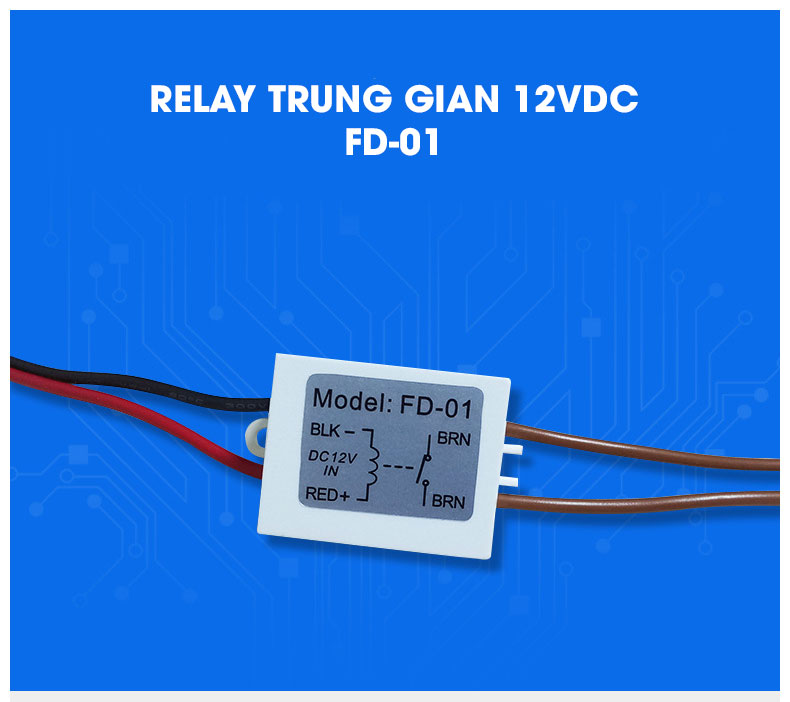 Relay trung gian 12VDC FD-01